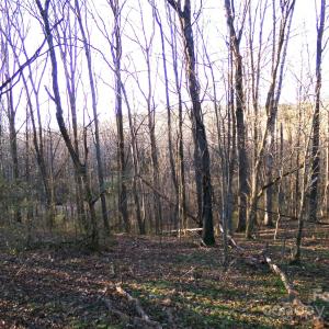 Photo #7 of Love Chapel, Stanfield, NC
