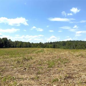Photo #1 of Love Chapel, Stanfield, NC