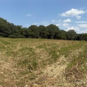 Photo #7 of Love Chapel, Stanfield, NC