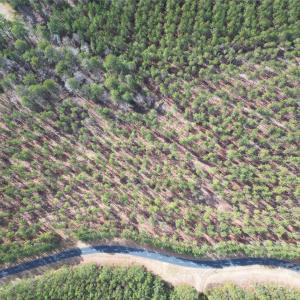 Photo #11 of TBD Spencer Pointe, Lilesville, NC