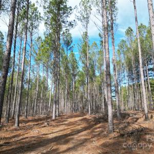 Photo #5 of TBD Spencer Pointe, Lilesville, NC