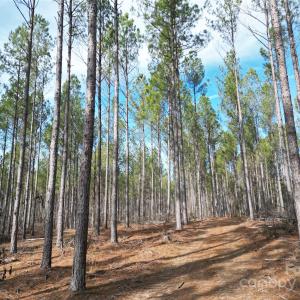 Photo #6 of TBD Spencer Pointe, Lilesville, NC