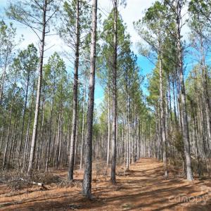 Photo #5 of TBD Spencer Pointe, Lilesville, NC