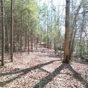 Photo #28 of TBD Grassy Island, Ellerbe, NC