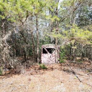 Photo #22 of TBD Grassy Island, Ellerbe, NC