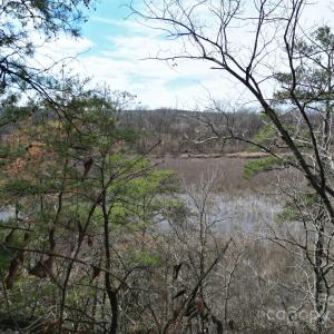 Photo #30 of TBD Grassy Island, Ellerbe, NC