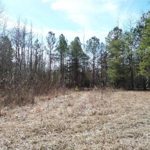 Photo #23 of TBD Grassy Island, Ellerbe, NC