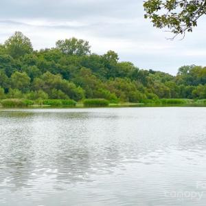 Photo #3 of TBD Grassy Island, Ellerbe, NC