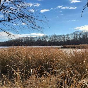 Photo #14 of TBD Grassy Island, Ellerbe, NC