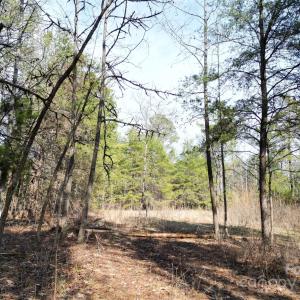 Photo #24 of TBD Grassy Island, Ellerbe, NC