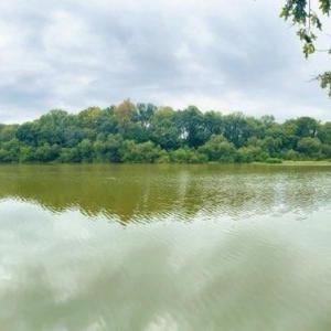 Photo #37 of TBD Grassy Island, Ellerbe, NC