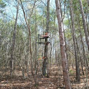 Photo #29 of TBD Grassy Island, Ellerbe, NC
