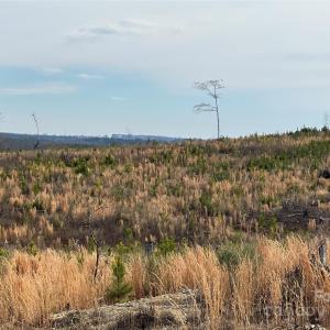 Photo #21 of VAC NC 24/27, Albemarle, NC