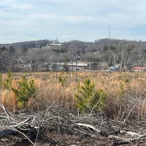 Photo #14 of VAC NC 24/27, Albemarle, NC