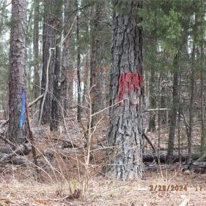 Photo #13 of Craig Farm, Lancaster, SC