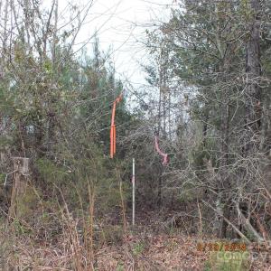 Photo #8 of Craig Farm, Lancaster, SC