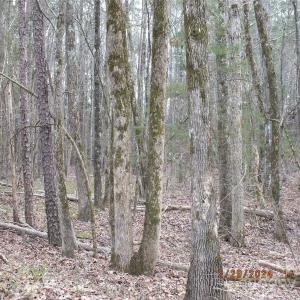 Photo #2 of Craig Farm, Lancaster, SC