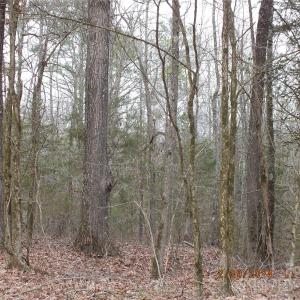 Photo #3 of Craig Farm, Lancaster, SC