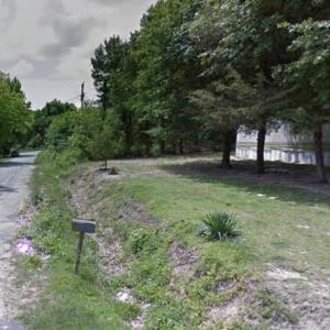 Photo #3 of Oak, Pageland, SC