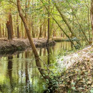 Photo #39 of 229 Joseph Kershaw, Eastover, SC