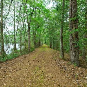 Photo #35 of 229 Joseph Kershaw, Eastover, SC