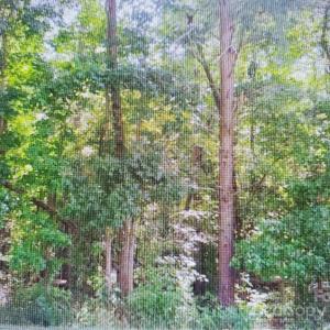 Photo #6 of 3007 Centergrove, Kannapolis, NC