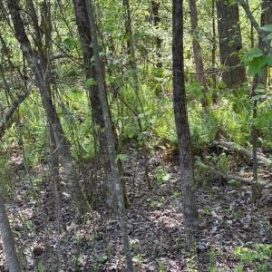 Photo #3 of 3007 Centergrove, Kannapolis, NC