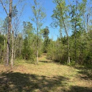 Photo #1 of 3007 Centergrove, Kannapolis, NC