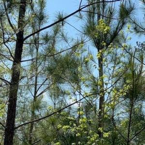 Photo #7 of 3007 Centergrove, Kannapolis, NC