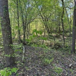 Photo #5 of 3007 Centergrove, Kannapolis, NC