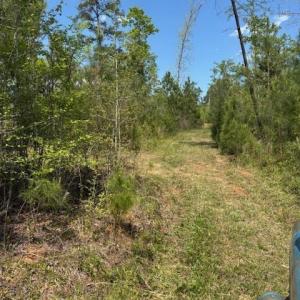 Photo #4 of 3007 Centergrove, Kannapolis, NC