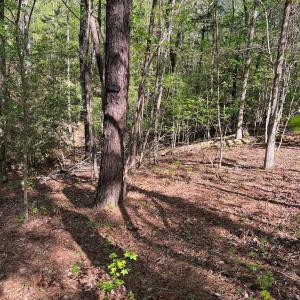 Photo #8 of Sanctuary, Lilesville, NC