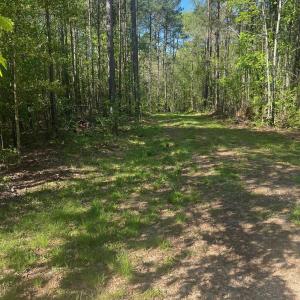 Photo #2 of Sanctuary, Lilesville, NC