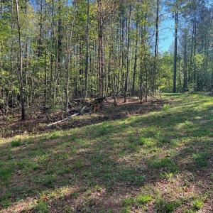 Photo #3 of Sanctuary, Lilesville, NC