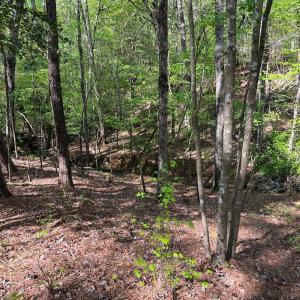Photo #6 of Sanctuary, Lilesville, NC