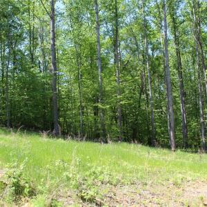 Photo #6 of Davis, Clover, SC