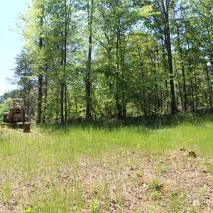 Photo #5 of Davis, Clover, SC