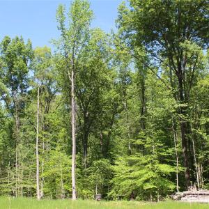 Photo #2 of Davis, Clover, SC