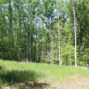 Photo #1 of Davis, Clover, SC