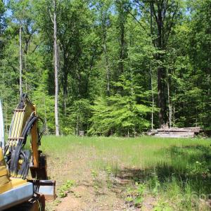 Photo #8 of Davis, Clover, SC