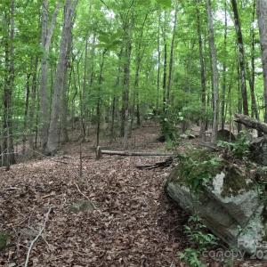 Photo #14 of 3111 Catawba, Great Falls, SC