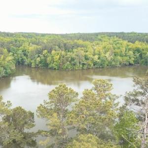 Photo #8 of 3111 Catawba, Great Falls, SC