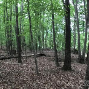 Photo #12 of 3111 Catawba, Great Falls, SC