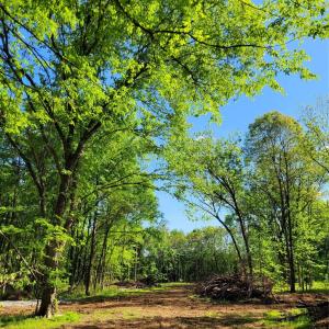 Photo #3 of Lot 29 John Morgan, Gold Hill, NC