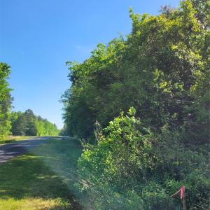 Photo #2 of Lot 29 John Morgan, Gold Hill, NC