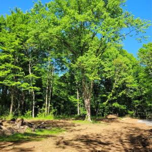 Photo #9 of Lot 29 John Morgan, Gold Hill, NC