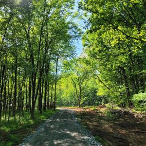 Photo #8 of Lot 29 John Morgan, Gold Hill, NC