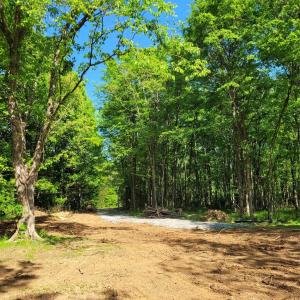 Photo #15 of Lot 29 John Morgan, Gold Hill, NC