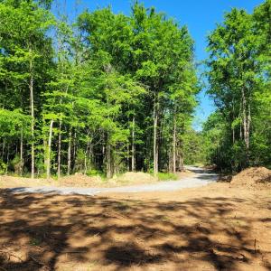 Photo #10 of Lot 30 John Morgan, Gold Hill, NC