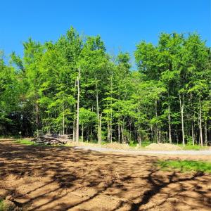 Photo #9 of Lot 30 John Morgan, Gold Hill, NC